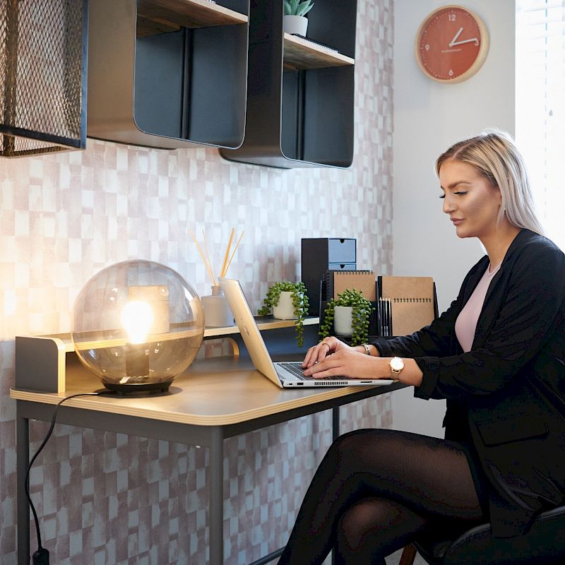 Lady working in home office