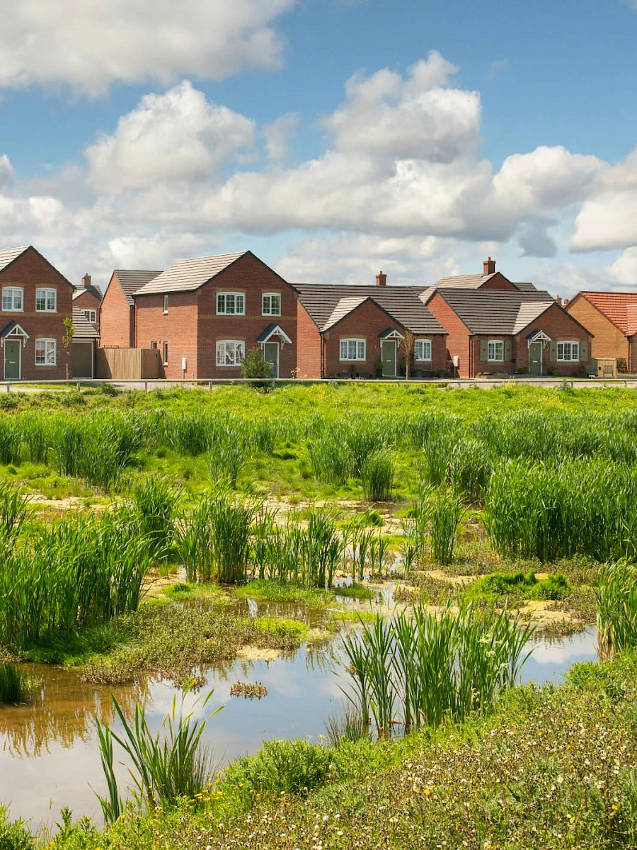 Gleeson development