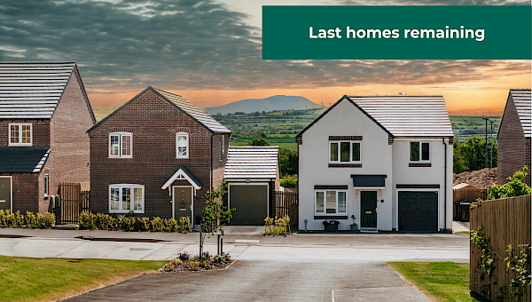 Images are used for illustrative purposes only and may include optional upgrades at additional cost.