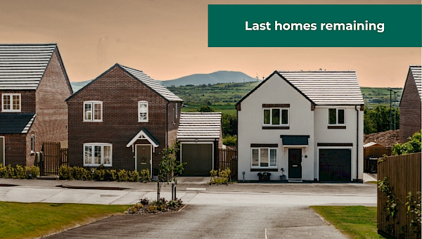 Images are used for illustrative purposes only and may include optional upgrades at additional cost.