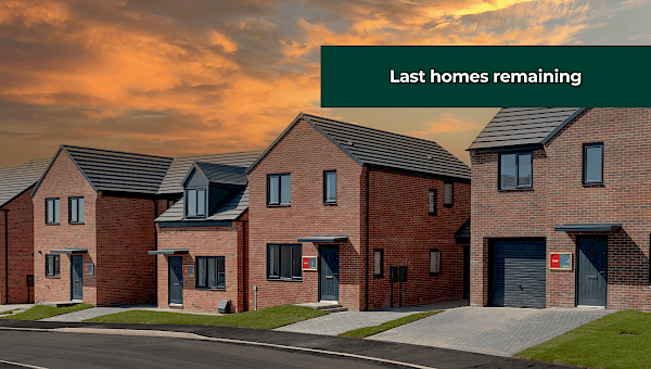 Images are used for illustrative purposes only and may include optional upgrades at additional cost.