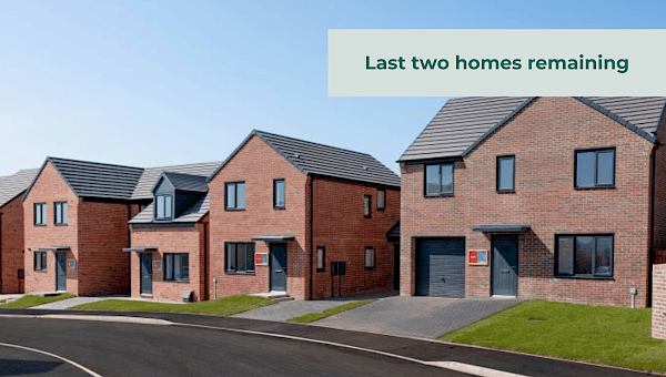 Images are used for illustrative purposes only and may include optional upgrades at additional cost.