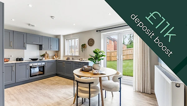 Plot 25 – Limerick